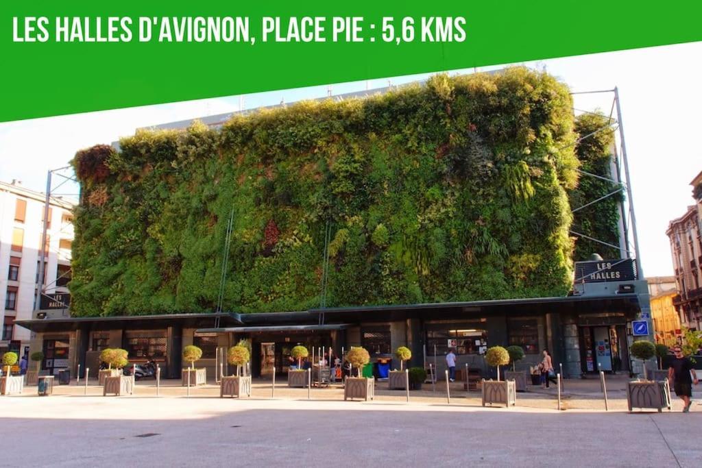Petit Terme - Piscine - Clim - Parking Apartment Les Angles  ภายนอก รูปภาพ